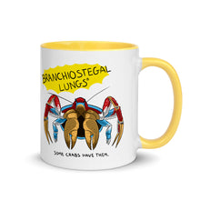 Load image into Gallery viewer, Branchiostegal Lungs: Some Crabs Have Them