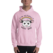 Load image into Gallery viewer, Actually Very Sad Unisex Hoodie
